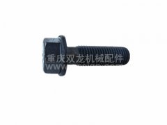 北方奔馳牙包螺絲12×40